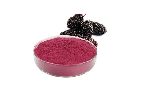 -2_0000_FD mulberry powder buy in Factory Directly 