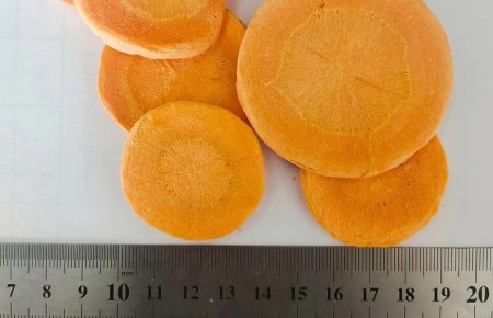 -1_0001_OEM Private Label Wholesale Bulk freeze dried slice carrot