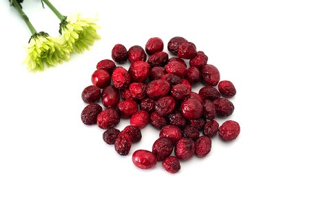 -1_0001_manufacture &supplier cranberries freeze dried